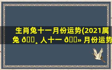 生肖兔十一月份运势(2021属兔 🌸 人十一 🌻 月份运势)